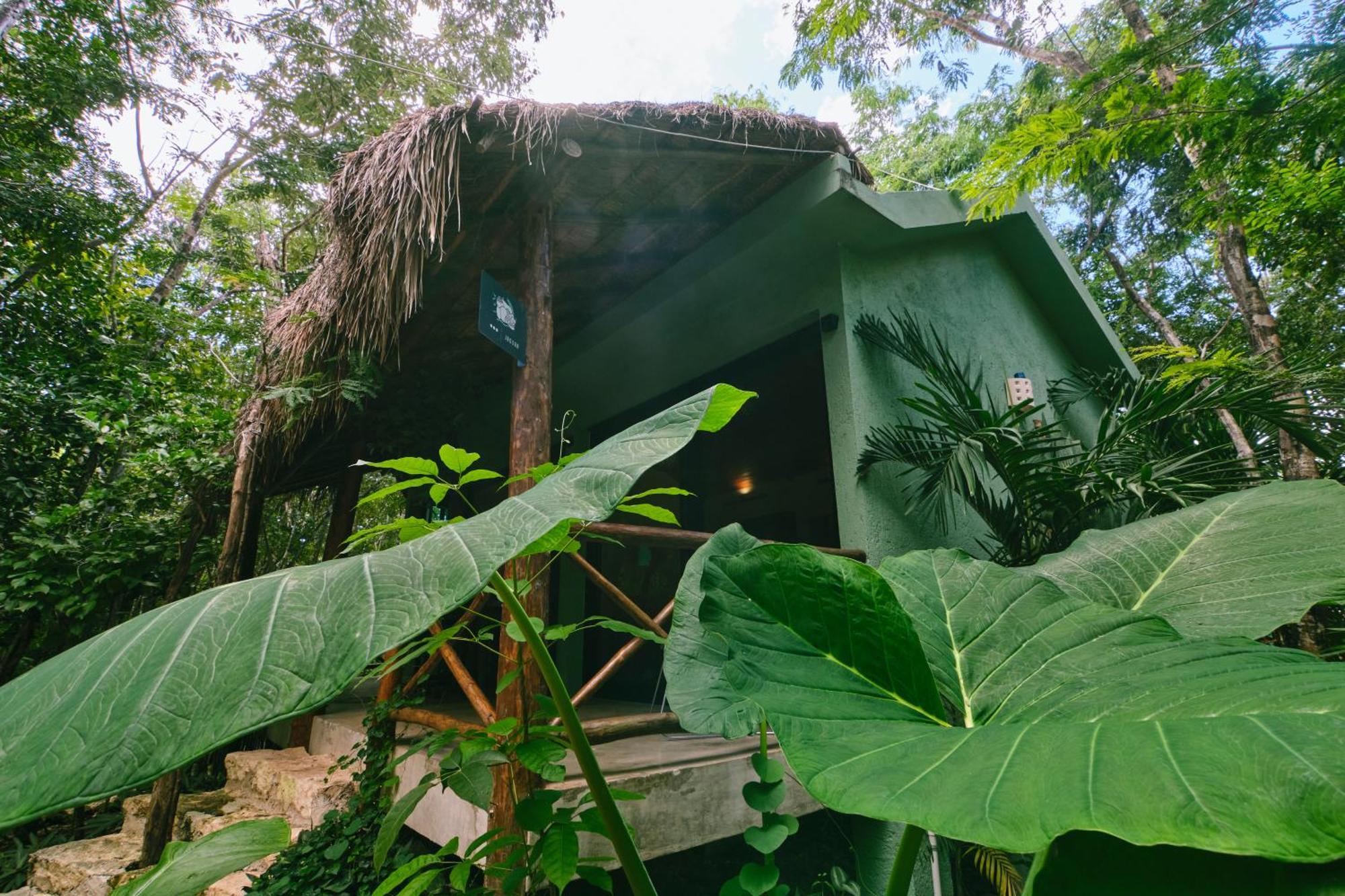Villas Zamna - Jungle Villas Cozumel Exterior foto