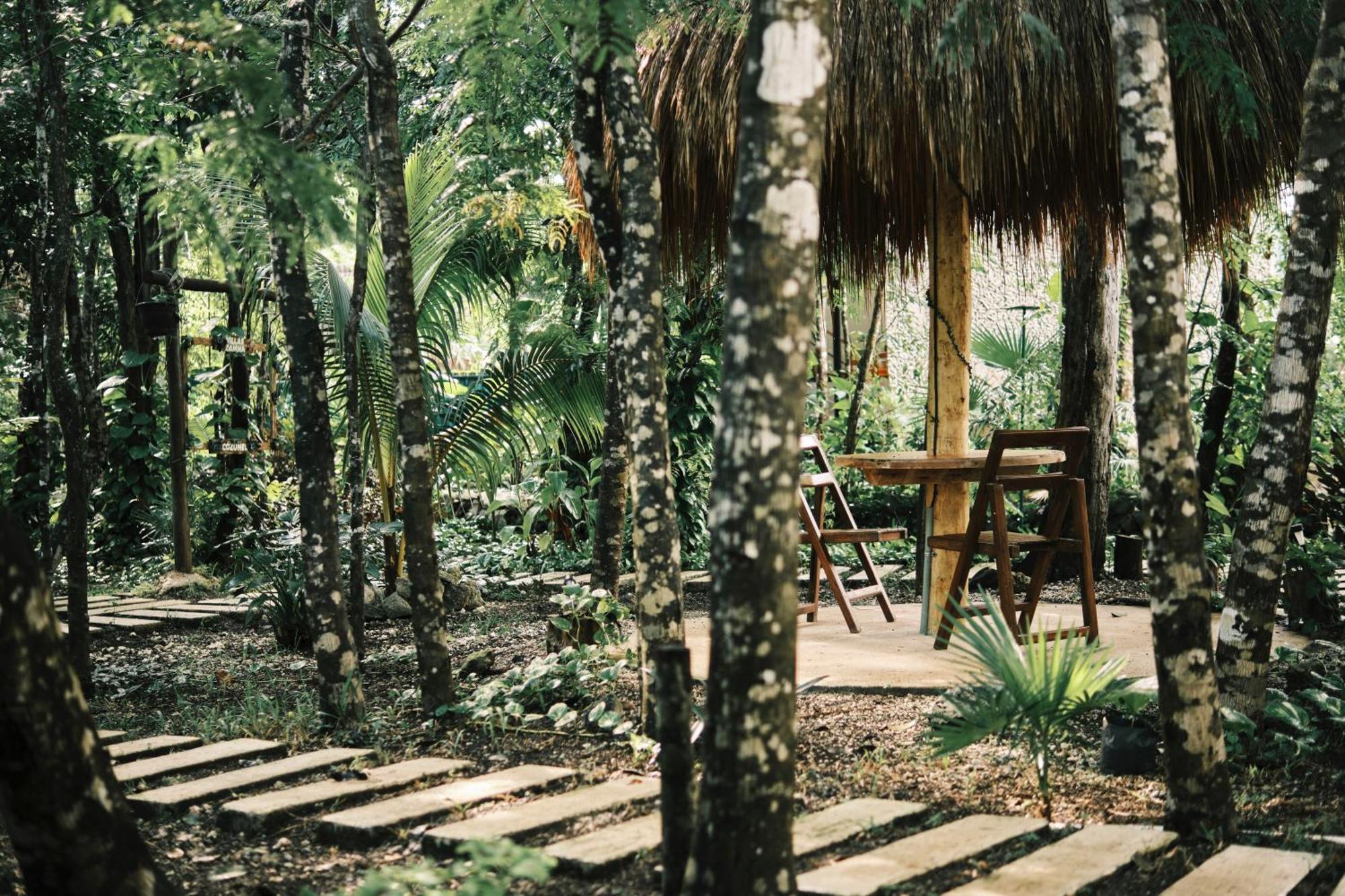 Villas Zamna - Jungle Villas Cozumel Exterior foto